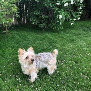 Meet your Posher, Karen